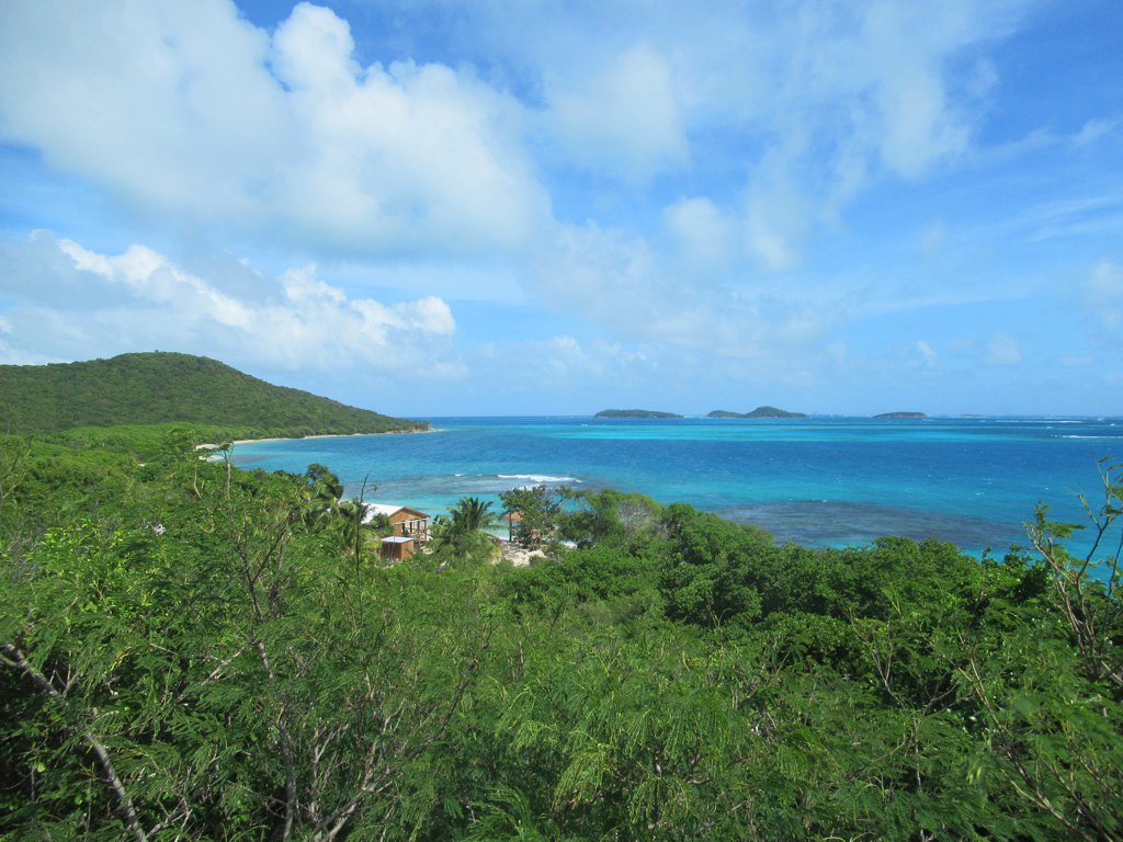 Grenadines